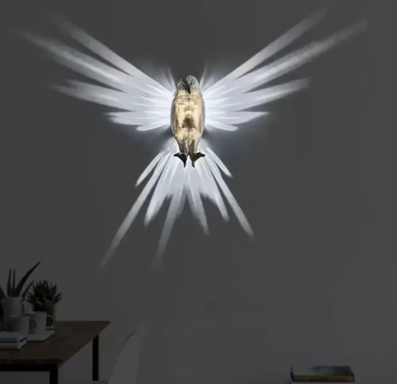 اضائة LED الصقر 